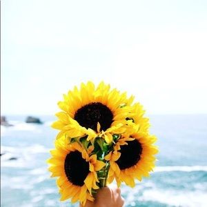 Meet your Posher, Meghan